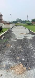 Bhadawar More Images 2