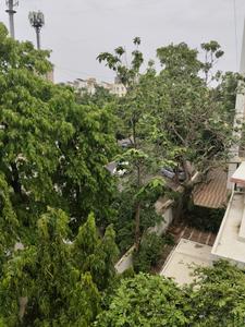 Living Room Image of 2205 Sq.ft 3 BHK Apartment / Flat for sale in Paldi Ahmedabad for Rs. 12500000