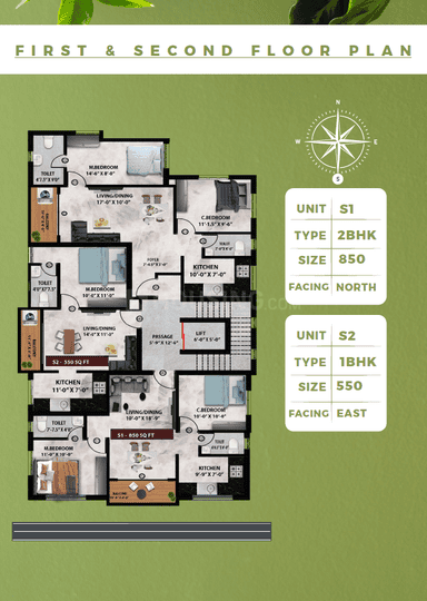 Viva Veronica Main Image 1