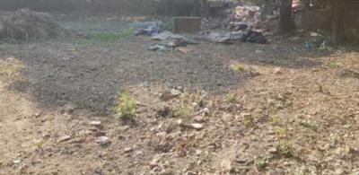 Narhi More Images 2