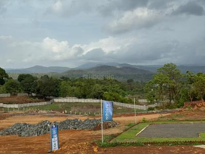 Neoliv Grand forest Plot View 2