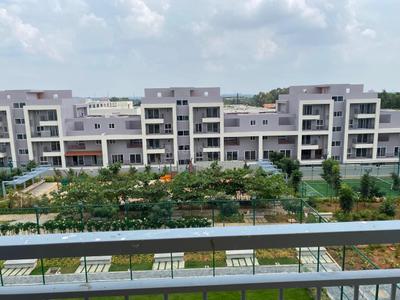 3 BHK Flat