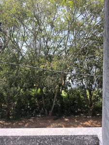 Bedroom Five Image of 3150 Sq.ft 5 BHK Apartment / Flat for sale in Talaghattapura Bengaluru for Rs. 29000080