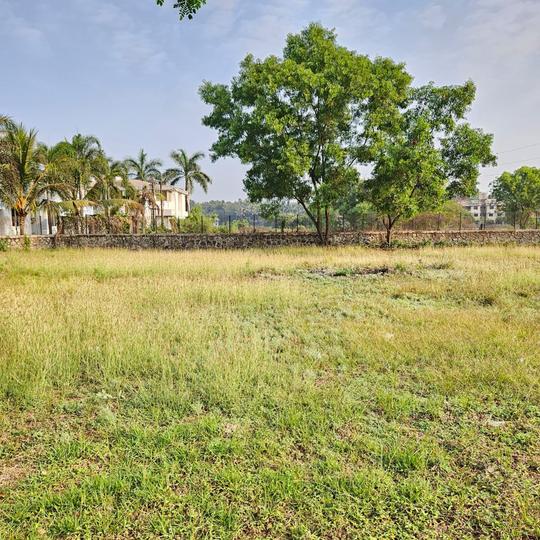 Tungarli lonavala Main Image 1