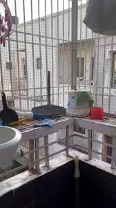 Balcony Image of 480 Sq.ft 1 BHK Apartment / Flat for sale in Sayajipura Vadodara for Rs. 2100000
