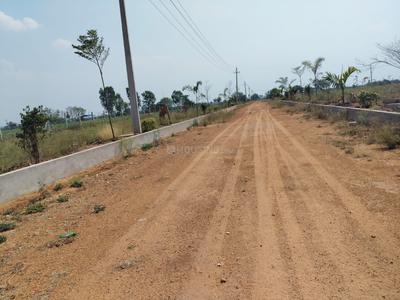 Residential Plot