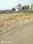 IMT Faridabad Plot View 2