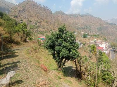 Residential Plot