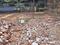 Kadavanthra Plot View 2