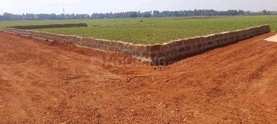Image of 2000 Sq.ft Residential Plot / Land for sale in Infovalley, Tamando, Bhubaneswar for Rs. 4600000