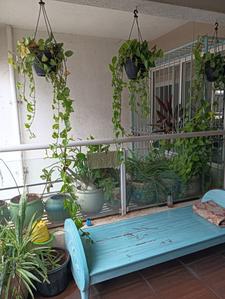 Balcony Image of 1025 Sq.ft 2 BHK Apartment / Flat for sale in ARV Imperia C D And E Building, Pisoli Pune for Rs. 4800000