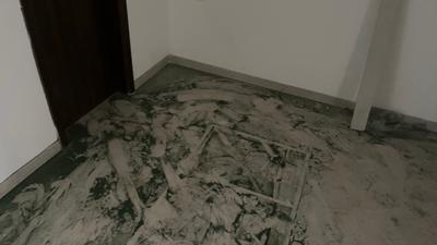 Bedroom Image of 1207 Sq.ft 2.5 BHK Apartment / Flat for rent in Smartworld Orchard, Sector 61 Gurgaon for Rs. 48000