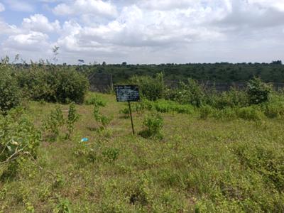 Image of 980 Sq.ft Residential Plot / Land for sale in Lohegaon, Pune for Rs. 3070000