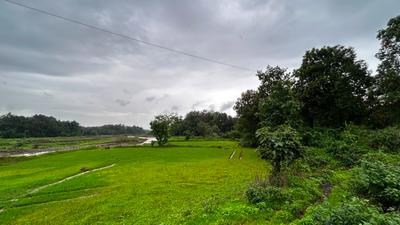 Image of 87120 Sq.ft Residential Plot / Land for sale in Murbad, Thane for Rs. 12000000