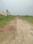 Metroplex City Internal Roads 1