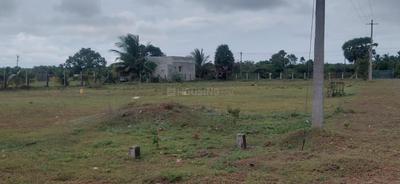 Image of 1364 Sq.ft Residential Plot / Land for sale in Othakalmandapam, Coimbatore for Rs. 1400000