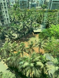 Image of 1200 Sq.ft 2 BHK Apartment / Flat for rent in Jalvayu Defence Enclave, Kharghar, Navi Mumbai for Rs. 55000