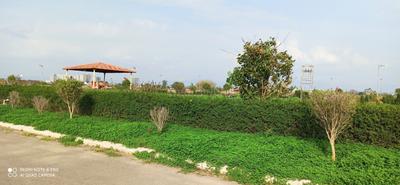 Image of 3087 Sq.ft Residential Plot / Land for sale in Altus Space Muirwoods, New Chandigarh, Chandigarh for Rs. 30870000