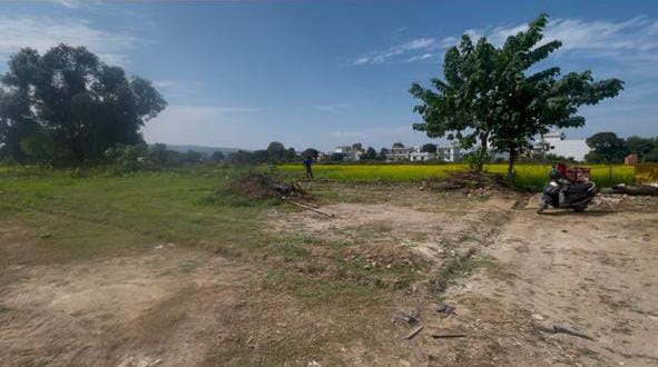 Balawala Main Image 1