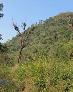 Image of 1705 Sq.ft Residential Plot / Land for sale in Maldevta, Dehradun for Rs. 8900000