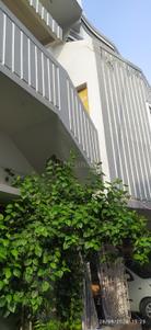Image of 1200 Sq.ft 2 BHK Builder Floor for rent in VishnuPuri, Hazaribagh for Rs. 6800