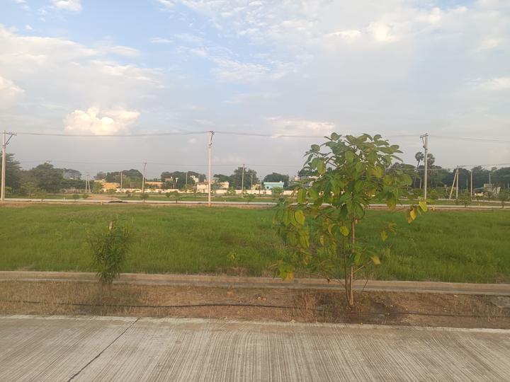 Sri Lakshmi Narasimha Enclave Main Image 1