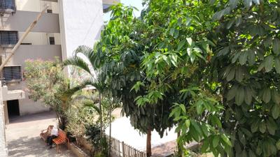 Living Room Image of 650 Sq.ft 1 BHK Apartment / Flat for rent in Hemant Kamala City, Katraj Pune for Rs. 14000
