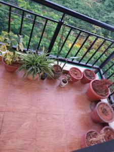 Balcony Image of 1162 Sq.ft 2 BHK Apartment / Flat for sale in YMR Lichen, Kothanur Bengaluru for Rs. 9200000