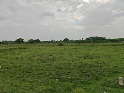 Image of 800 Sq.ft Residential Plot / Land for sale in Chengalpattu, Chennai for Rs. 1199237