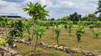 Image of 2297 Sq.ft Residential Plot / Land for sale in Dilip Rajul Green Woods, Napier Town, Jabalpur for Rs. 3100000
