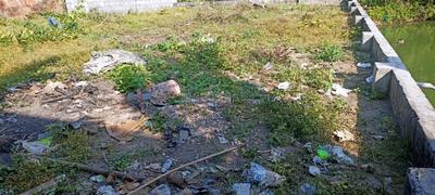 Chakkaraparambu Plot View 2