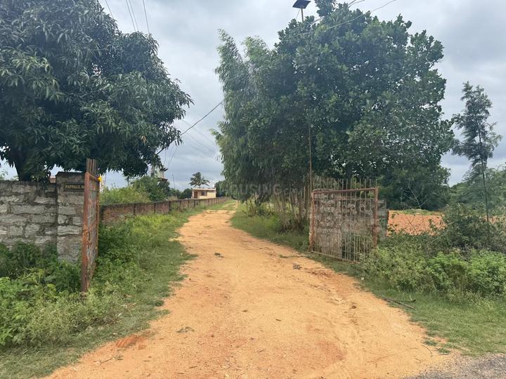Devanahalli Main Image 1