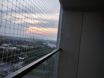 Balcony Image of 2630 Sq.ft 3 BHK Apartment / Flat for rent in Palaj Gandhinagar for Rs. 30000