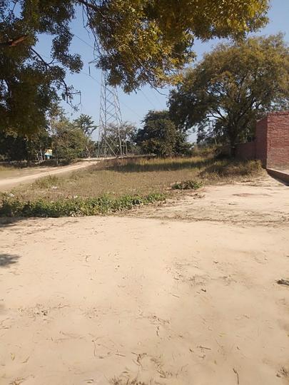 Ghasyari Mandi Main Image 1