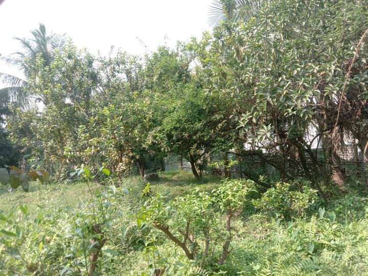 Residential 9000 Sqft Plot for sale at Dum Dum, Kolkata Property ID