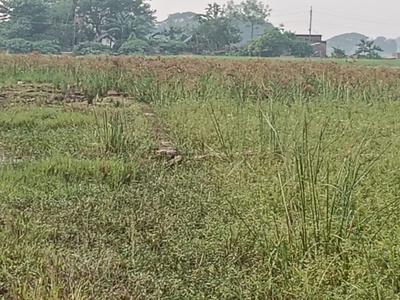 Image of 1370 Sq.ft Residential Plot / Land for sale in 42 Mouza, Cuttack for Rs. 1450000