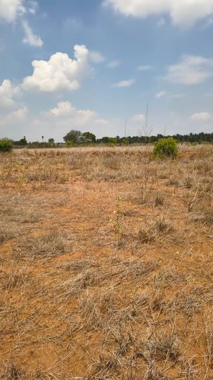 Palladam sri Balaji garden Main Image 1