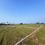 Bihta Main Image 1