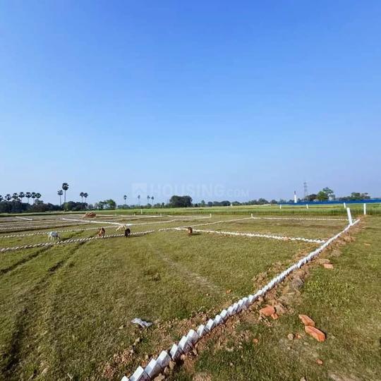 Bihta Main Image 1