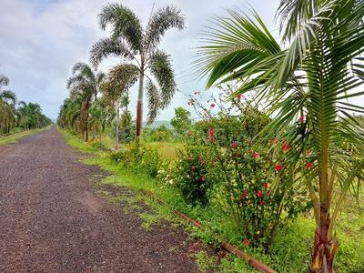 Image of 10764 Sq.ft Residential Plot / Land for sale in Trimbak, Nashik for Rs. 2651000