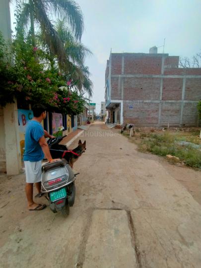 Sikandar Kampoo Main Image 1