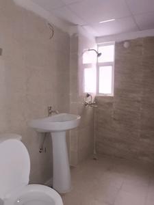 Common Bathroom Image of 1185 Sq.ft 3 BHK Apartment / Flat for sale in Terrace Homes, Noida Extension Greater Noida for Rs. 8542000