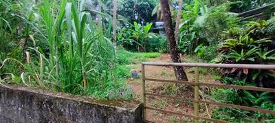Image of 5880 Sq.ft Residential Plot / Land for sale in Viyyoor, Thrissur for Rs. 9585000