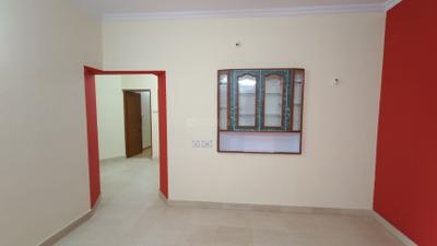 Living Room Image of 850 Sq.ft 2 BHK Apartment / Flat for rent in Ejipura Bengaluru for Rs. 28000
