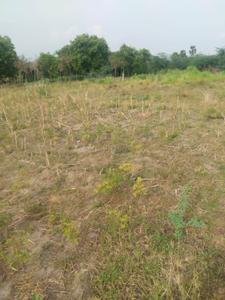 Residential Plot