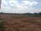Shamshabad Plot View 1