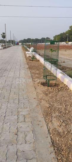 Ambey green Main Image 1