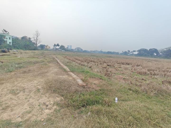 Pahala Main Image 1