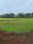 Balaji Estate  Plot View 2