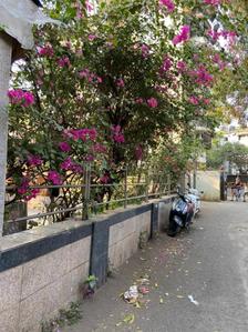 Image of 1600 Sq.ft 3 BHK Apartment / Flat for sale in Adani Ten BKC, Bandra East, Mumbai for Rs. 80000000